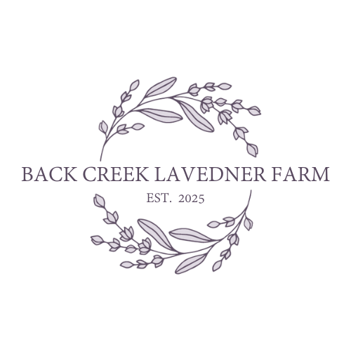 Back Creek Lavender Farm